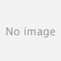 �h���S���Q�[�g