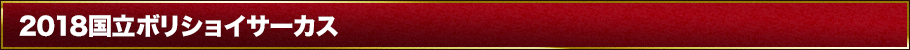 2018国立ボリショイサーカスとは