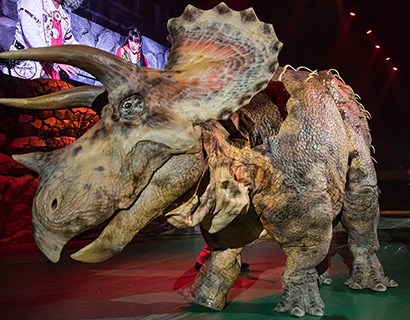 トリケラトプス