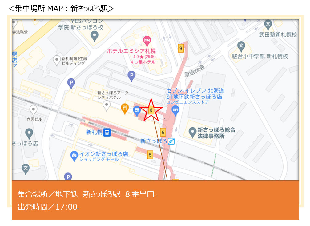 モエレ沼芸術花火2021鑑賞チケット付き 会場間往復送迎バス オリジナル特典付 イベントのチケット ローチケ ローソンチケット