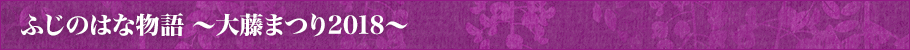 ふじのはな物語～大藤まつり2018～とは