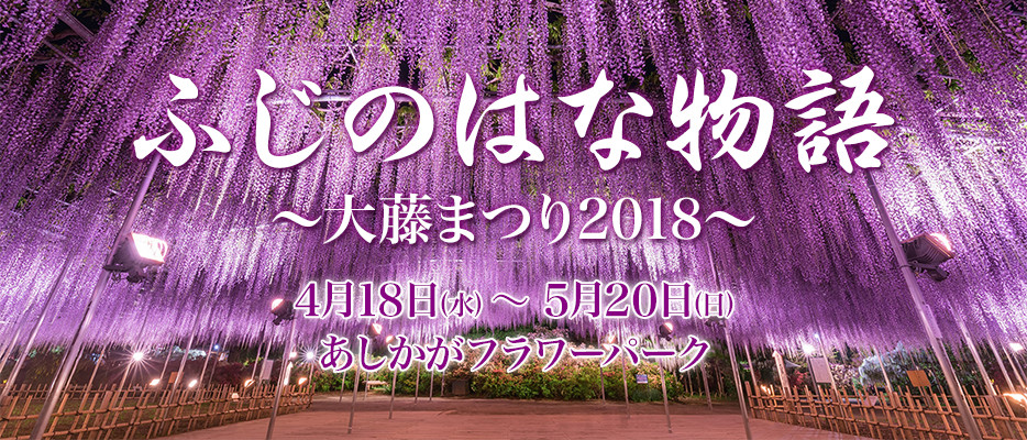 ふじのはな物語～大藤まつり2018～