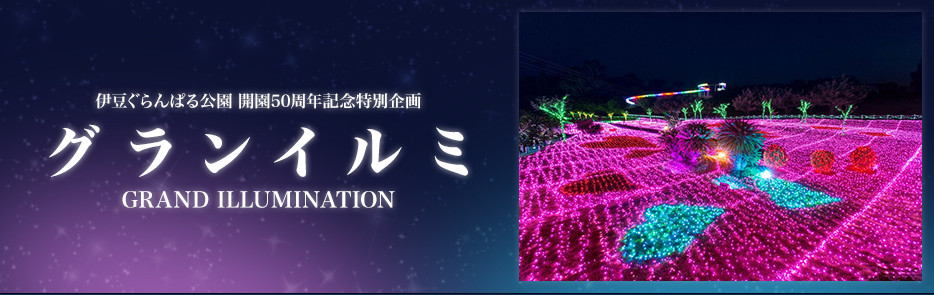 伊豆ぐらんぱる公園 開園50周年記念特別企画「グランイルミ(GRAND ILLUMINATION)」