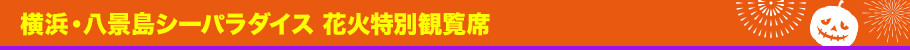 横浜・八景島シーパラダイス 花火特別観覧席とは